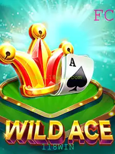 Explorando o Mundo de WildAce: O Jogo Inovador com 118WIN